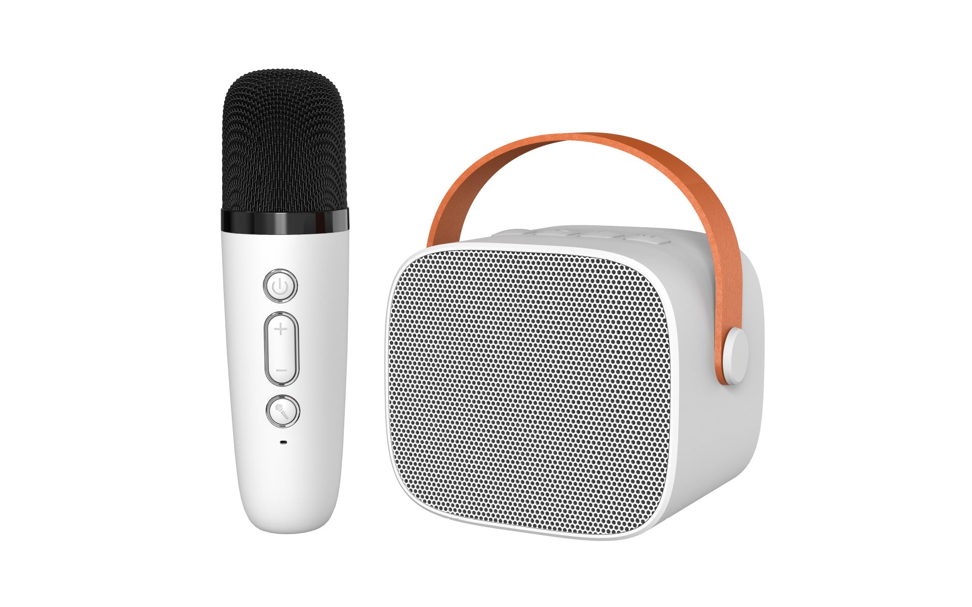 Portable Bluetooth Karaoke Speaker